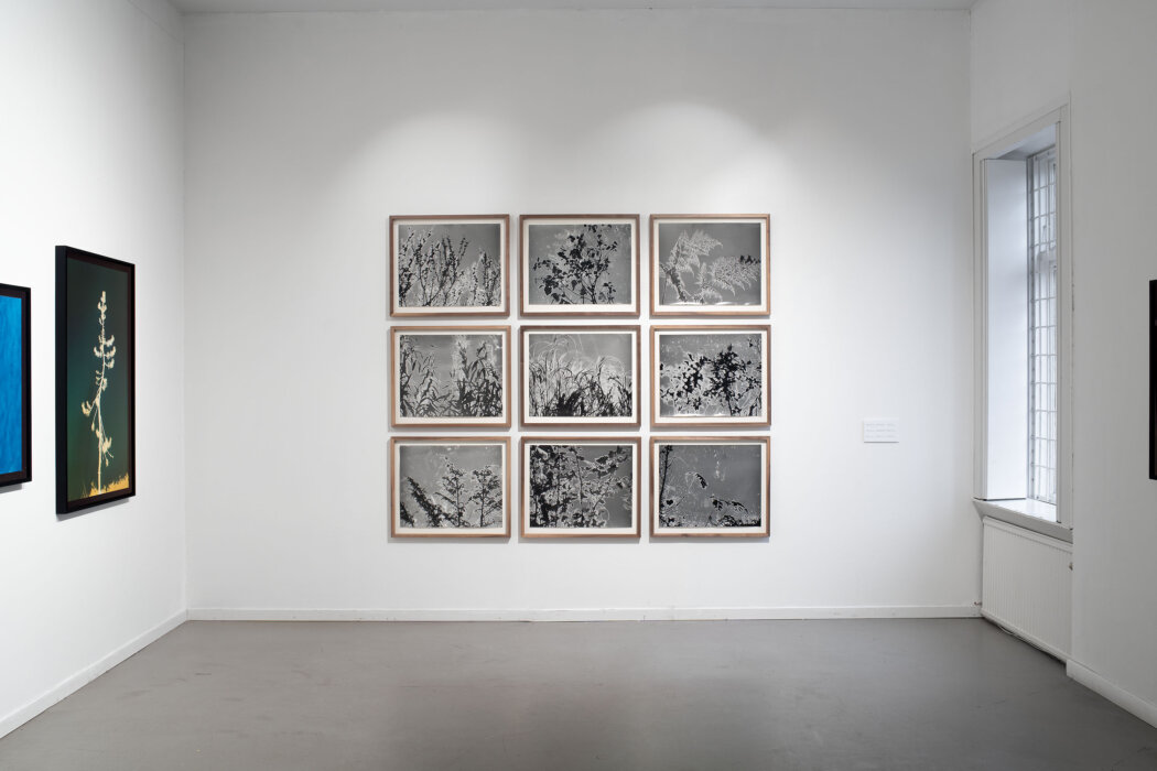 Konstepidemin Göteborg 2023, with support from Längmanska Kulturfonden, Installation views