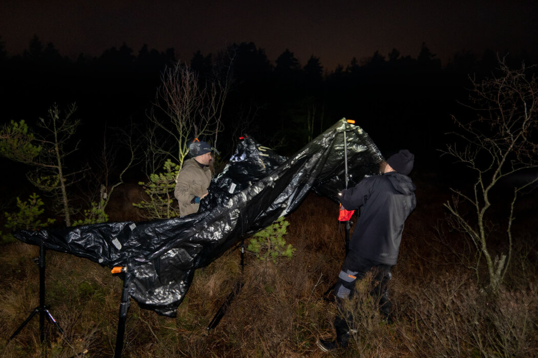 Preparing the dark tent for exposure, Mare pines