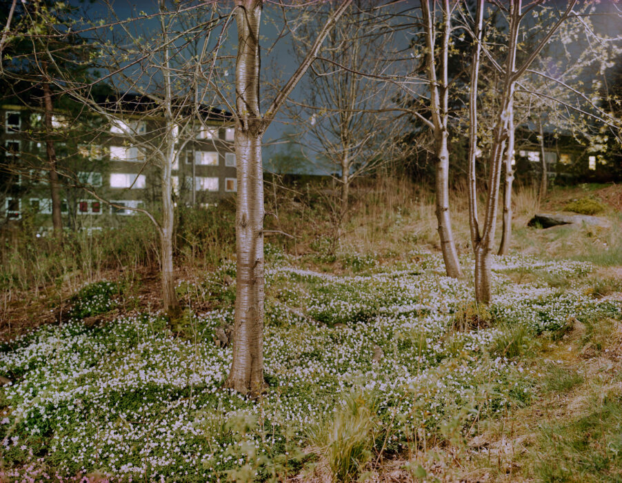 Open shutter – Satellites